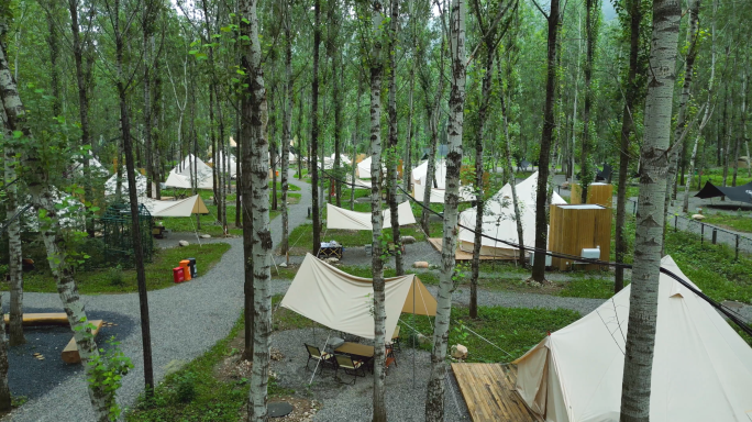 户外露营营地 森林营地 山谷营地