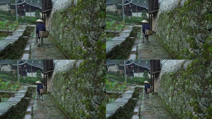 湖南怀化传统村落阳雀坡