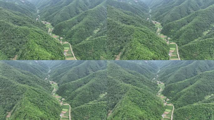 航拍乡村玉米地