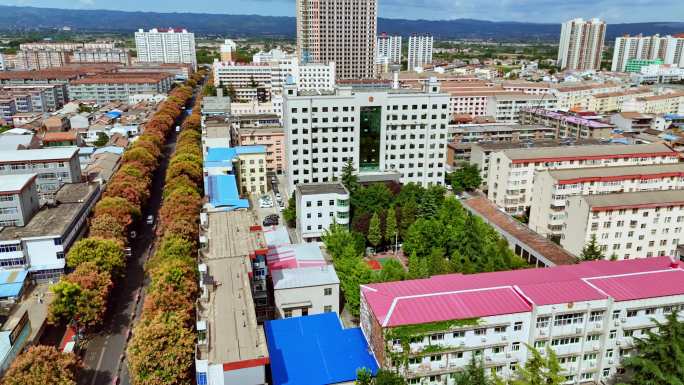 宝鸡市凤翔区政府