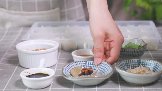 酸汤水饺美食视频