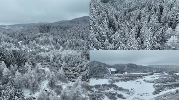 仙女山雪景航拍