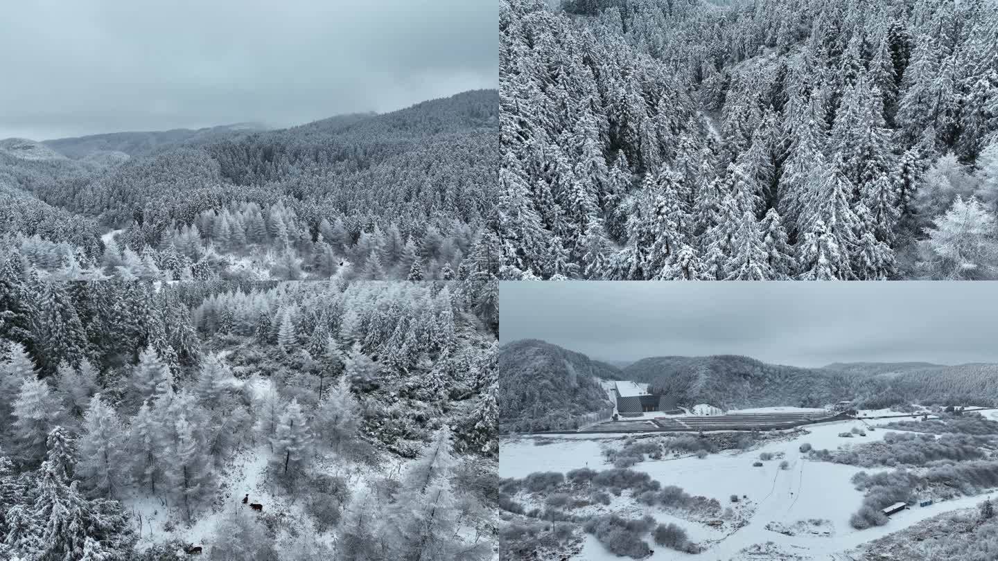 仙女山雪景航拍