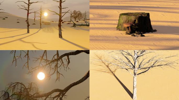 阳光照耀下的干旱沙漠枯树航拍