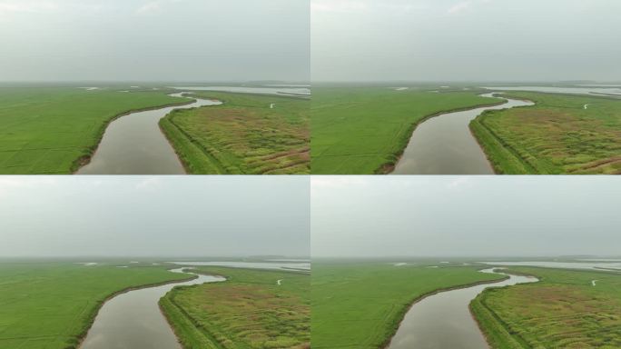 鄱阳湖风景航拍湖泊湿地公园草地河流风光