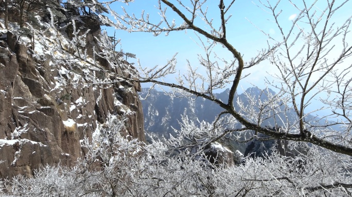 安徽黄山冬天雾凇美景