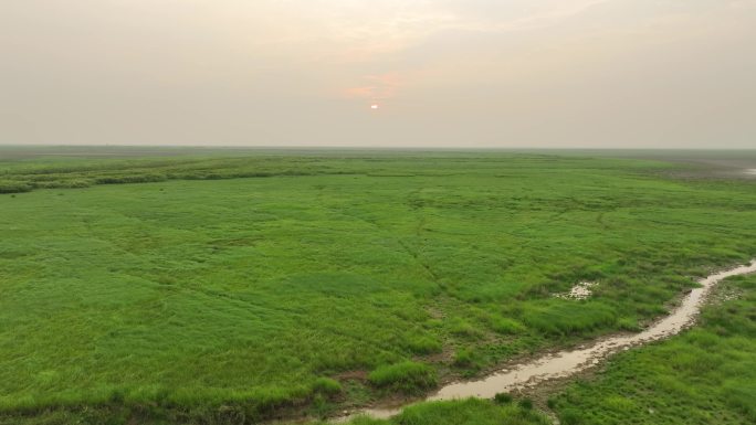 鄱阳湖风景航拍湖泊湿地公园草地河流风光