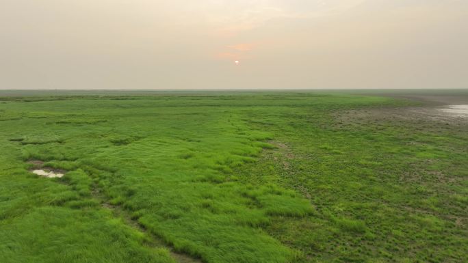 草原风光航拍鄱阳湖湿地公园风光阳光草地