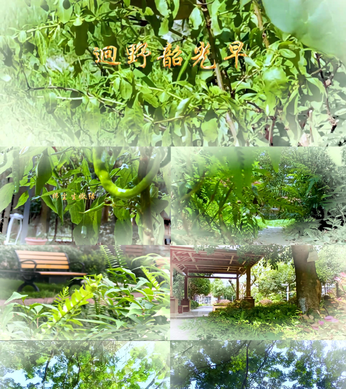 金色粒子字体飘散聚合 绿色植物背景