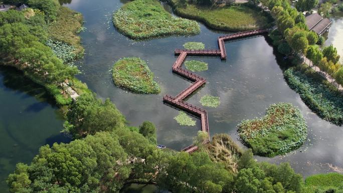 高清4K航拍武汉东西湖金银湖湿地公园素材
