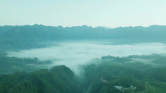 5K高山云海航拍 云雾缭绕的森林