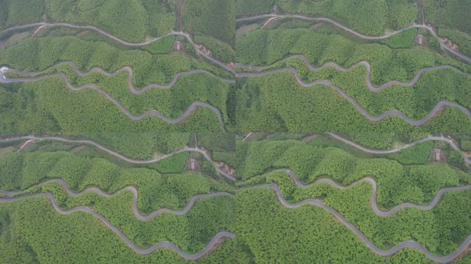 小杭坑山路