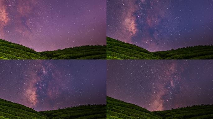 4k 延时茶园唯美夜景星空银河