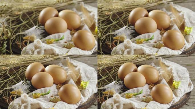 鸡蛋在鸡窝展示