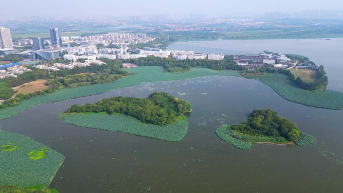 武汉三角湖