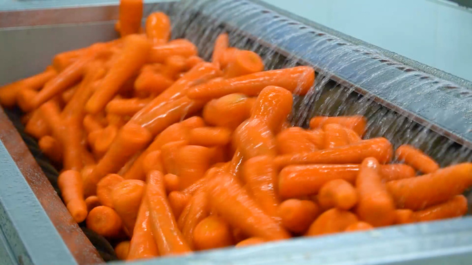 中央厨房工胡萝卜自动削皮蔬菜切片