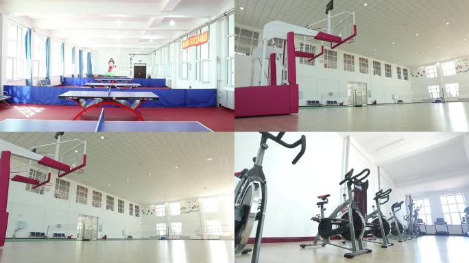 体育馆室内篮球场乒乓球台跑步机健身器材