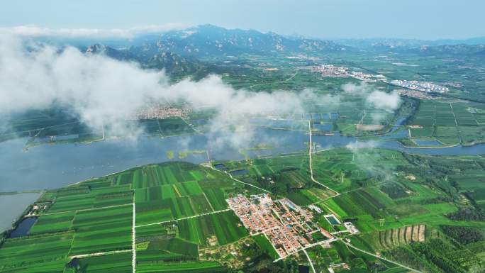 云海 山 雾气 森林 大自然 大好河山