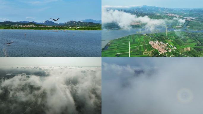 云海 山 雾气 森林 大自然 大好河山