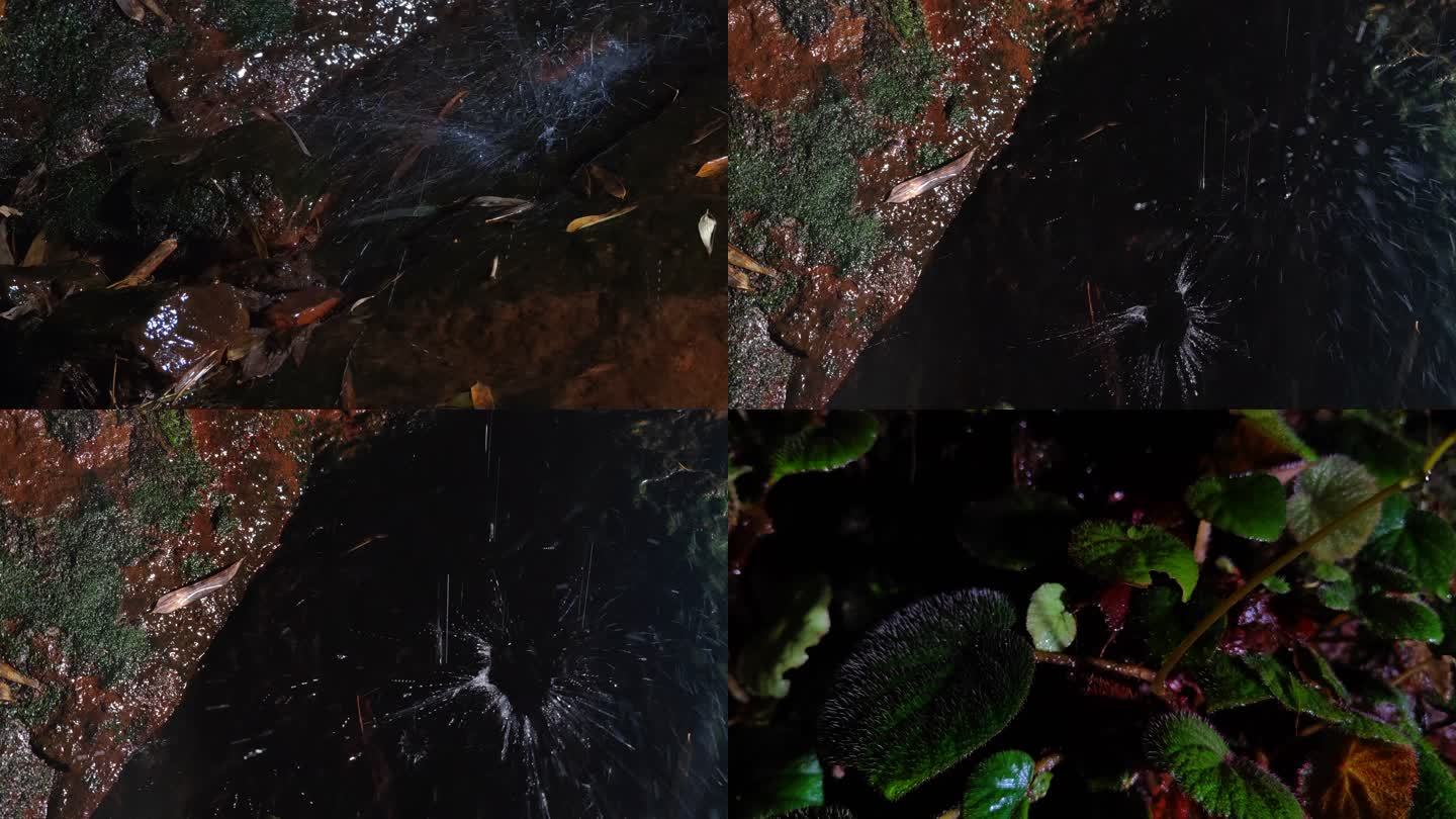夜晚丛林岩石苔藓滴水