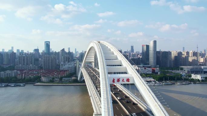 【4K60帧】上海卢浦大桥航拍