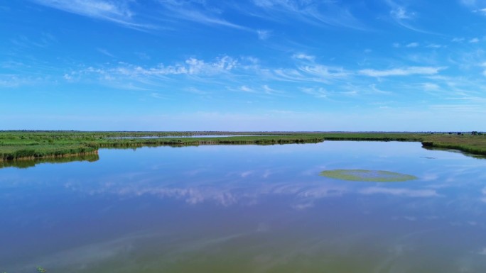湖泊湿地水资源水草自然风景