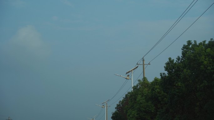 汽车窗外移动风景仰拍天空风景电线路灯树林