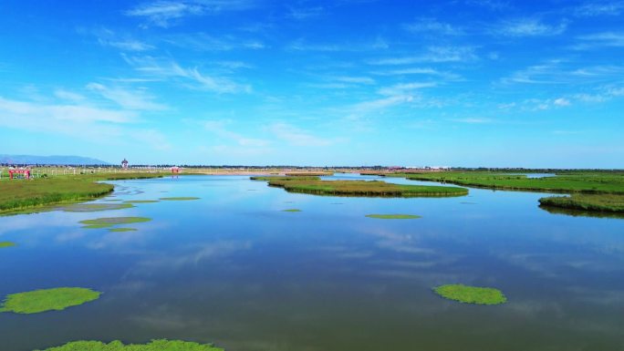 湖泊湿地水资源水草自然风景