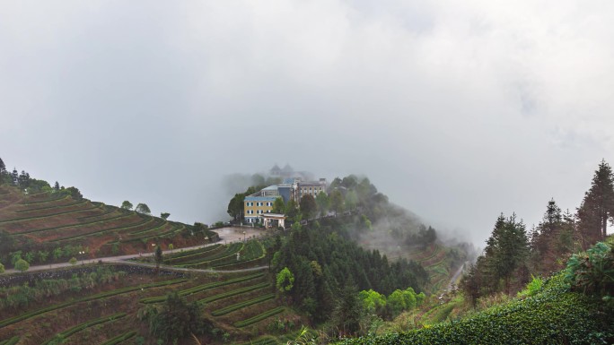 美丽的茶山延时摄影