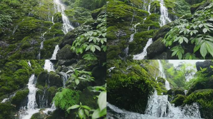 森林中的瀑布溪水
