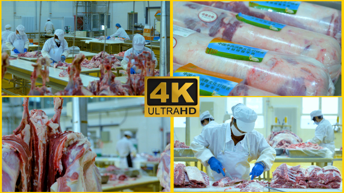 【4K】羊肉加工生产实拍