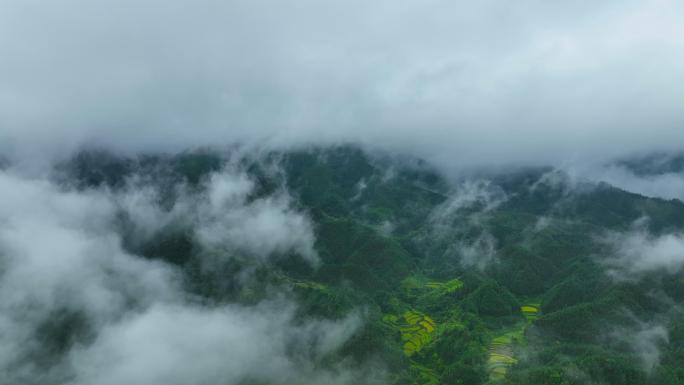 云海云雾山川森林