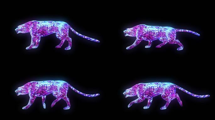 超清荧光动物alpha循环动画 花豹
