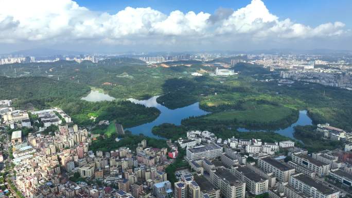 深圳平湖生态园航拍