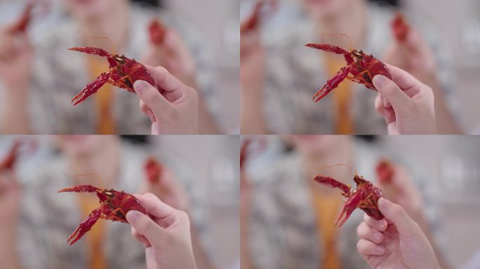 小龙虾视频素材