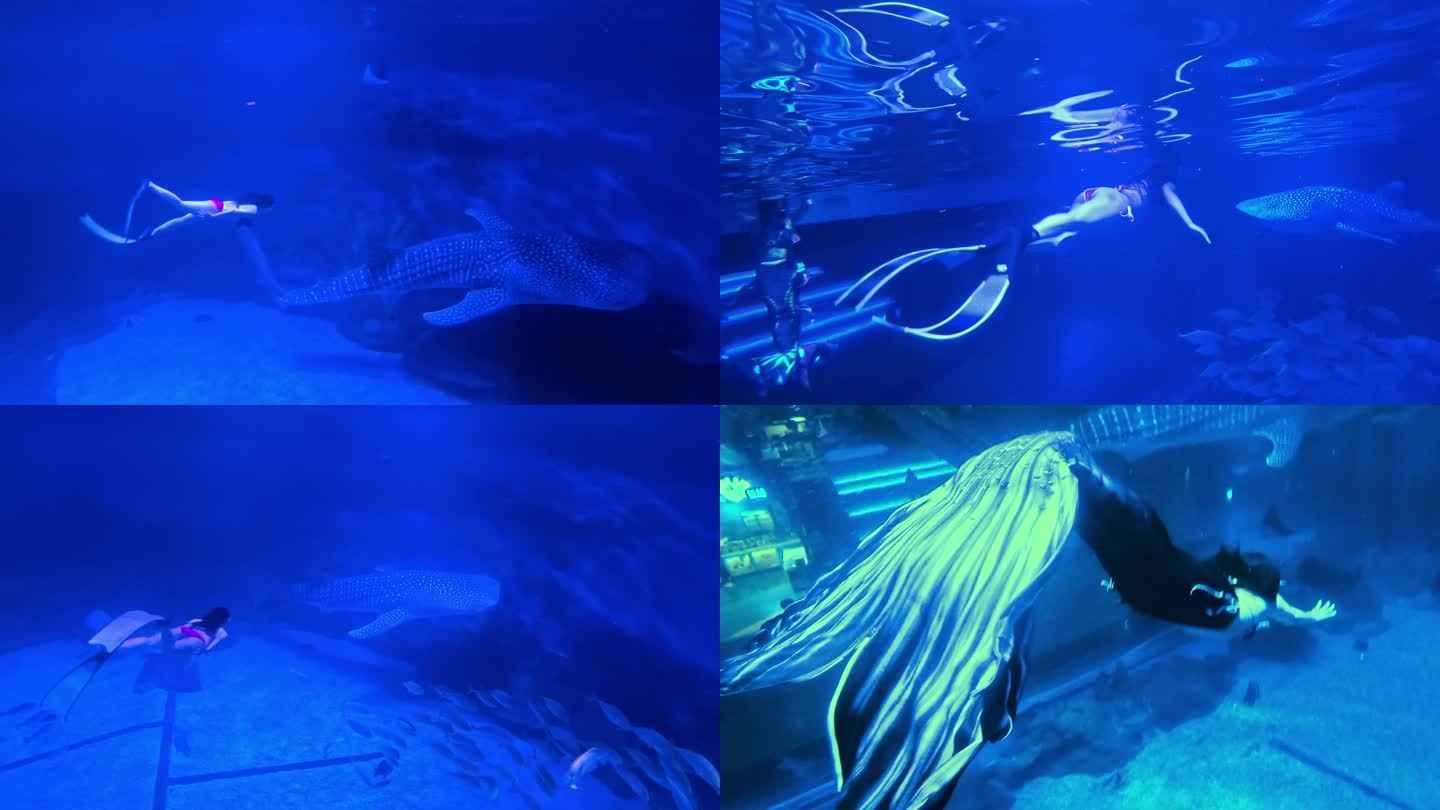 美人鱼鲸鲨馆水下潜水表演