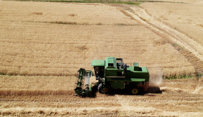 小麦田收割小麦收割机