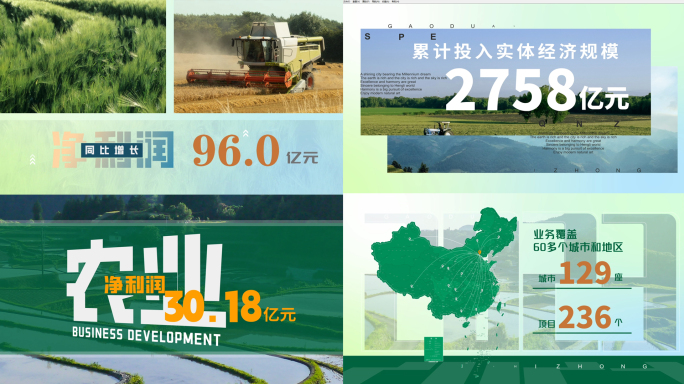 绿色农业企业年报数据展示工作汇报