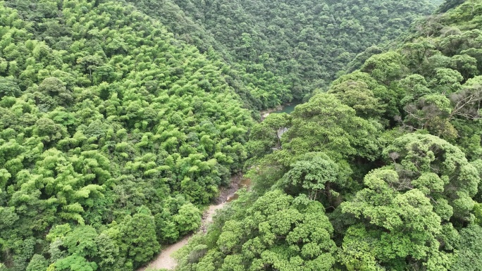 航拍乡村原生态河流