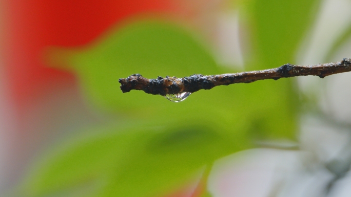 唯美下雨空境