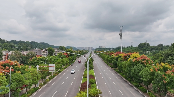 城市道路