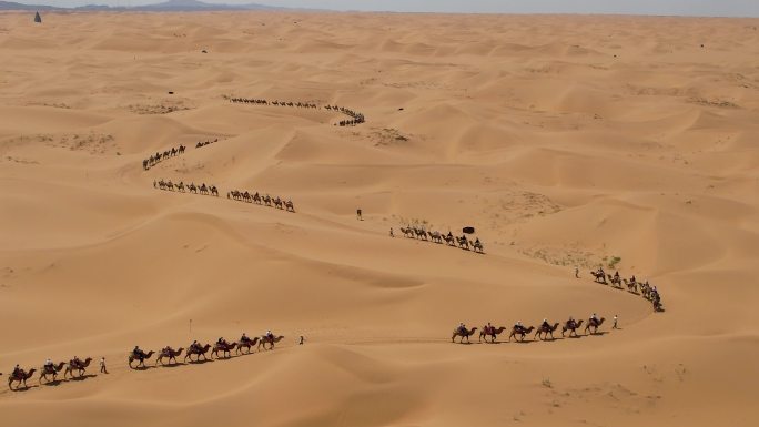 沙漠 骆驼 旅游 商队 丝绸之路02