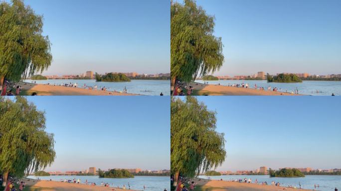 风吹柳树落日余晖河边沙滩游玩的人