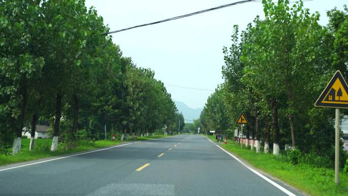 开车行驶林荫小道汽车公路道路驾驶第一视角