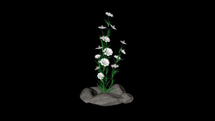 带透明通道的小白花，三D渲染