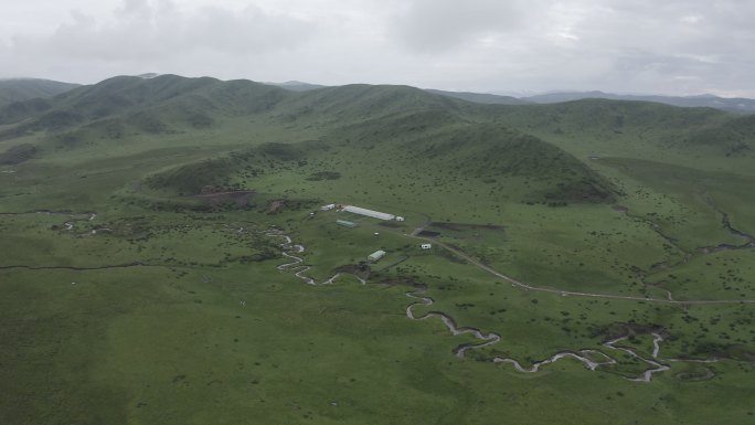 红原草原谷地草地