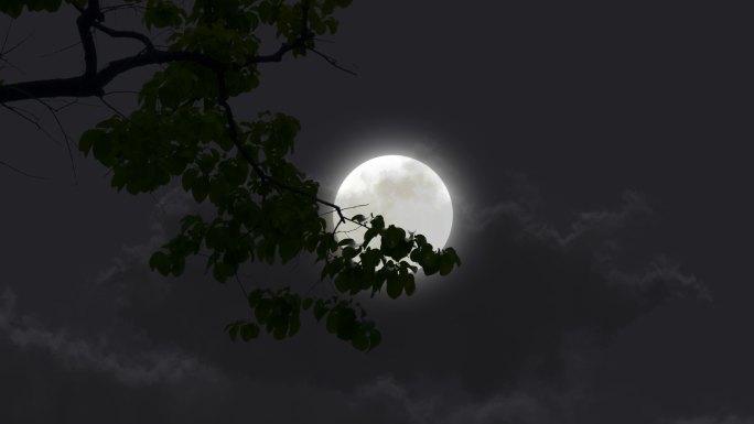 月亮升起月亮出来