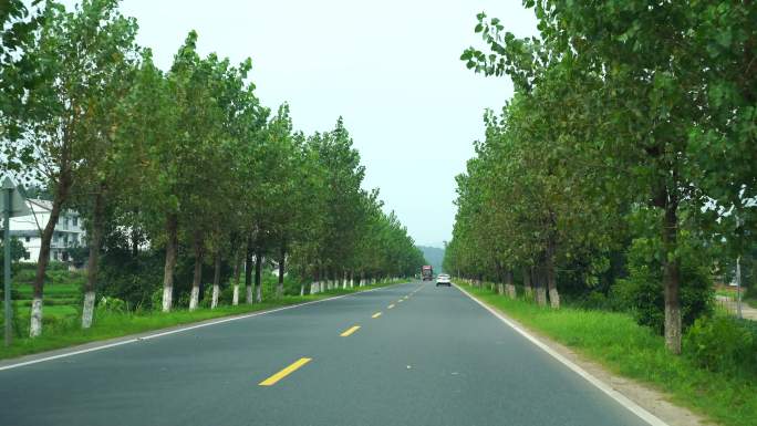开车行驶林荫小道汽车公路道路驾驶第一视角