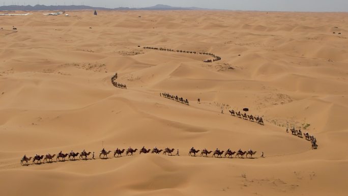 沙漠 骆驼 旅游 商队 丝绸之路01