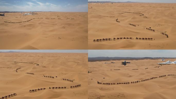 沙漠 骆驼 旅游 商队 丝绸之路01